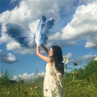 维纳斯计划